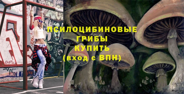 дмт Володарск