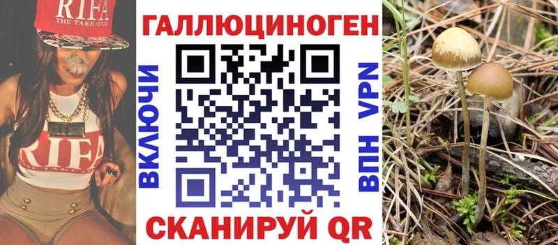 OMG tor Звенигово Псилоцибиновые грибы мухоморы